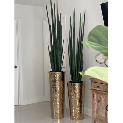 88 po Faux Snake Plant
