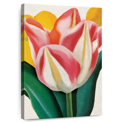 Joyeuse tulipe