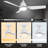 Raenah 44 " Ceiling Fan with LED Lights with Light Kit