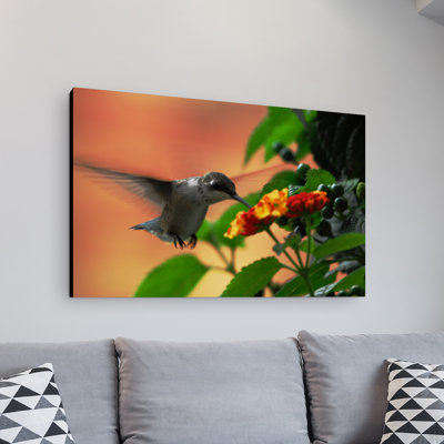 « gourmande hummingbird » par kurt shaffer, reproduction de photo sur toile