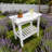 Shower Bench, Waterproof Shower Stool With Handle, Storage Shelf, Non-Slip Pads For Your Home-1658104932