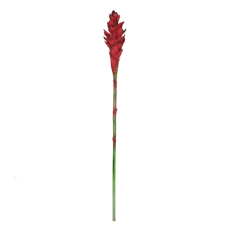 Real Touch Artificial Ginger Flower Stem Tropical Spray, Red