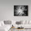 « tree tops », reproduction de photo sur toile tendue-29764406