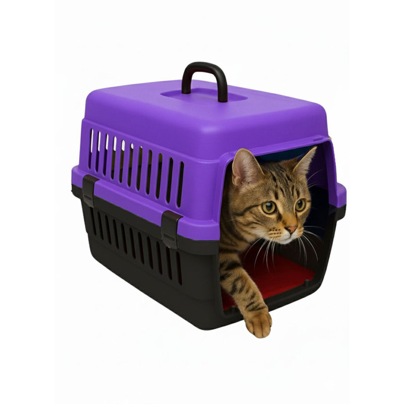 Boîte de transport pour animaux, H 11,81 po x l 17,72 po x P 11,81 po, Purple