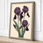 Purple Iris Study Botanical - Wrapped Canvas-1043468790-1043471886
