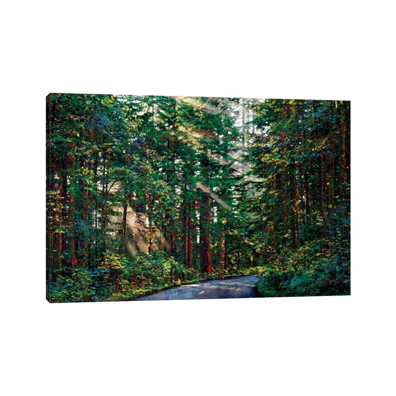 Redwoods II by Lisa Robinson - Wrapped Canvas Gallery-Wrapped Canvas Giclée, 20.32 cm H x 30.48 cm W