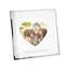 Silver Metal Picture Frame with Mat