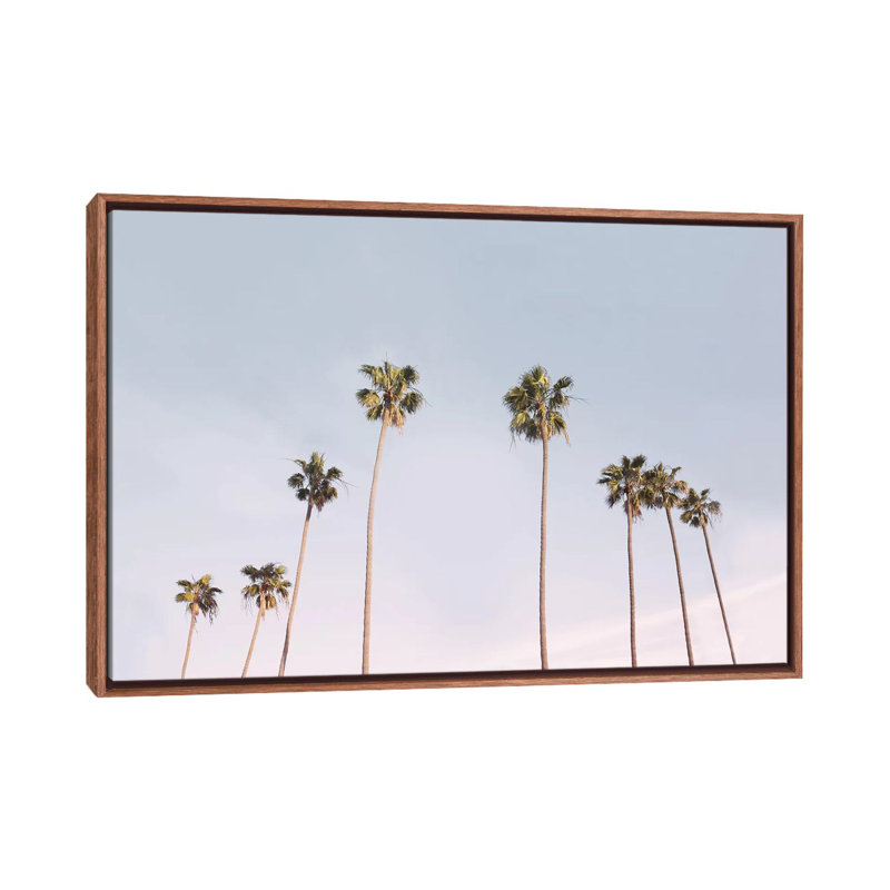 Photographie « california trees », H 26 po x l 40 po x P 1,5 po, Toile avec cadre en bois classique