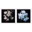 Élégance monochromatique blanche à motif de fleurs de pommier blanc-446105063-446105062