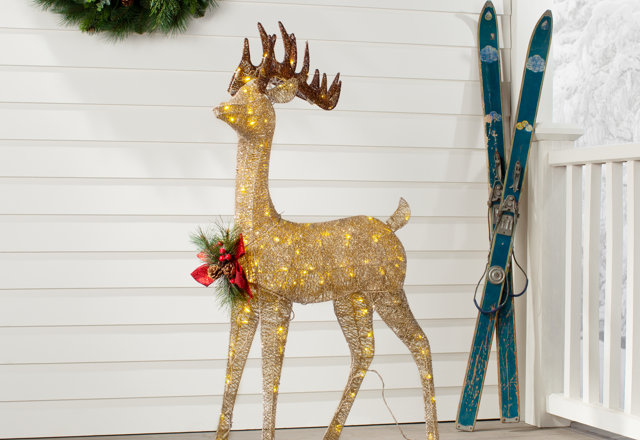 Outdoor Holiday Decorations on Sale