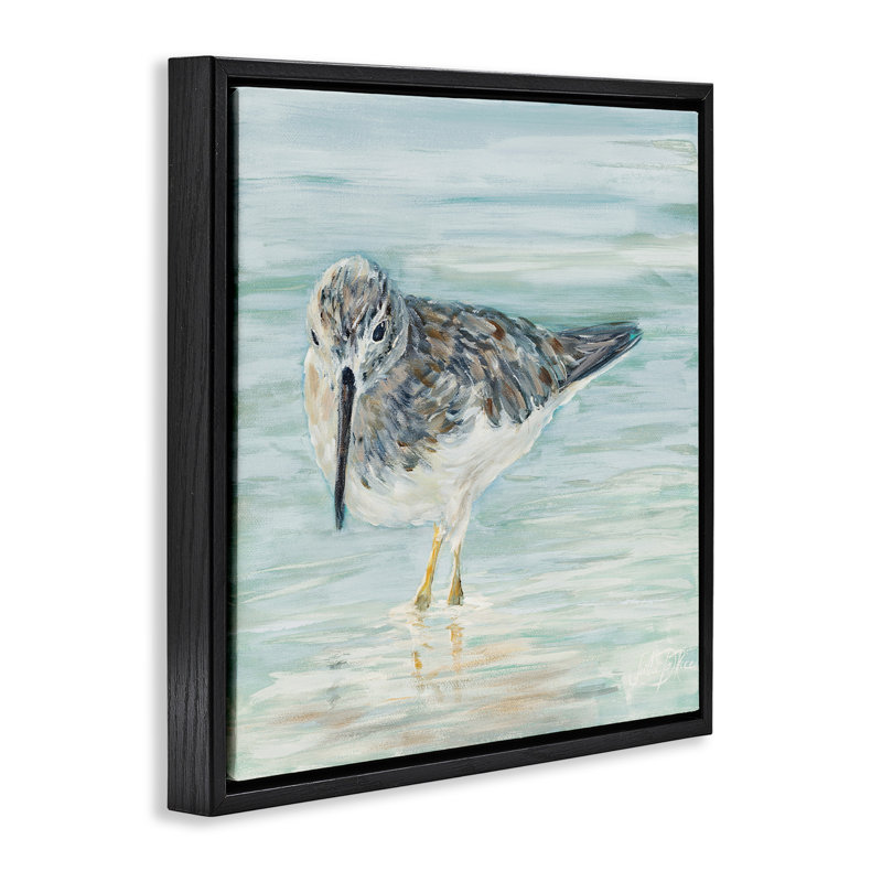 «Sandpiper in Shallow Beach Waters» par Julie DeRice, Cadre flottant noir de jais, H 25 po x l 25 po