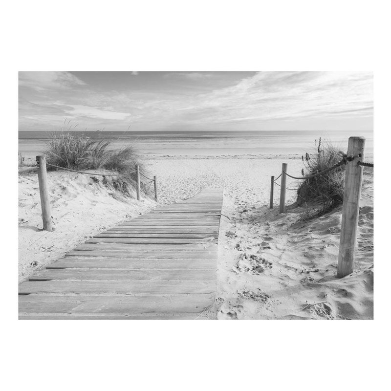 Murale noir et blanc Bridlewood Beach, L 115 po x L 82 po