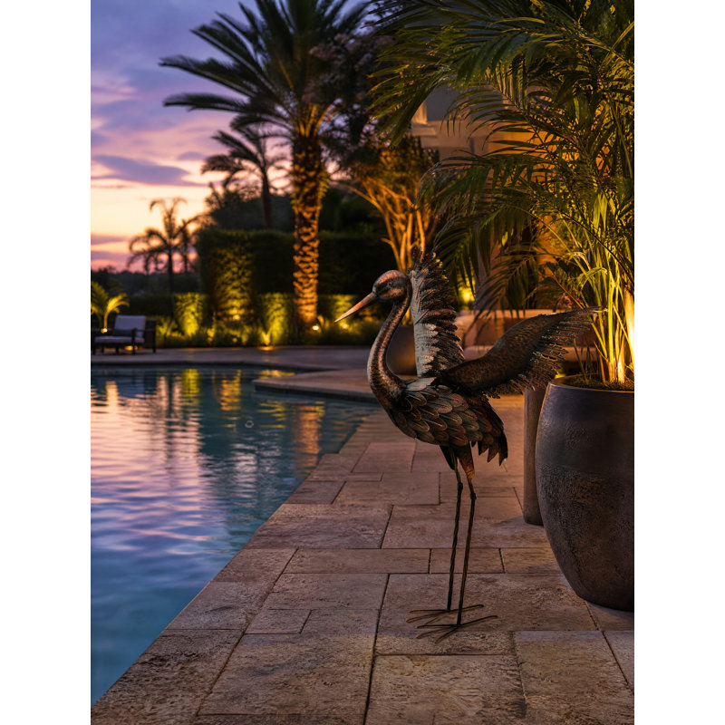 Grue bronze, Wings Up