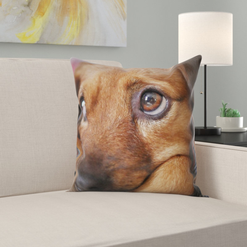 Coussin pour chien