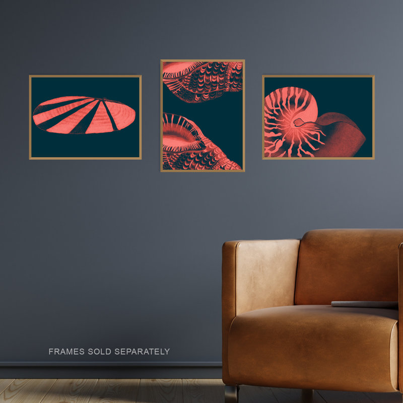 Marine Coral Pink Ocean Seashells Nautilus 3-Piece Set Unframed Wall Art Prints Bathroom Bedroom Aesthetic Cephalopod