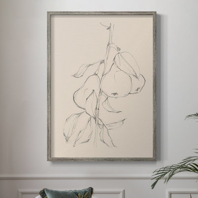 Fruit Contour Study II Framed Print - Solid Wood