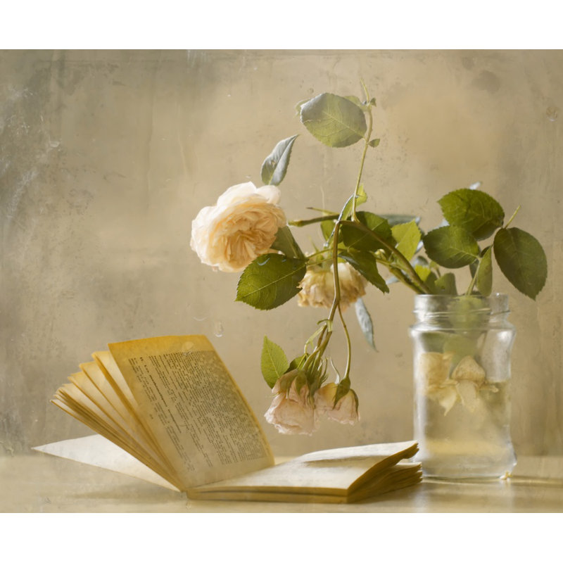 Wrapped Canvas Print, 50.8 cm H x 76.2 cm W