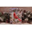 Snowy Pine Cardinal 8x6 Mini Lighted Easel Back Canvas