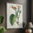 Turpin Tropical Botanicals II Framed Print - Solid Wood-777887840