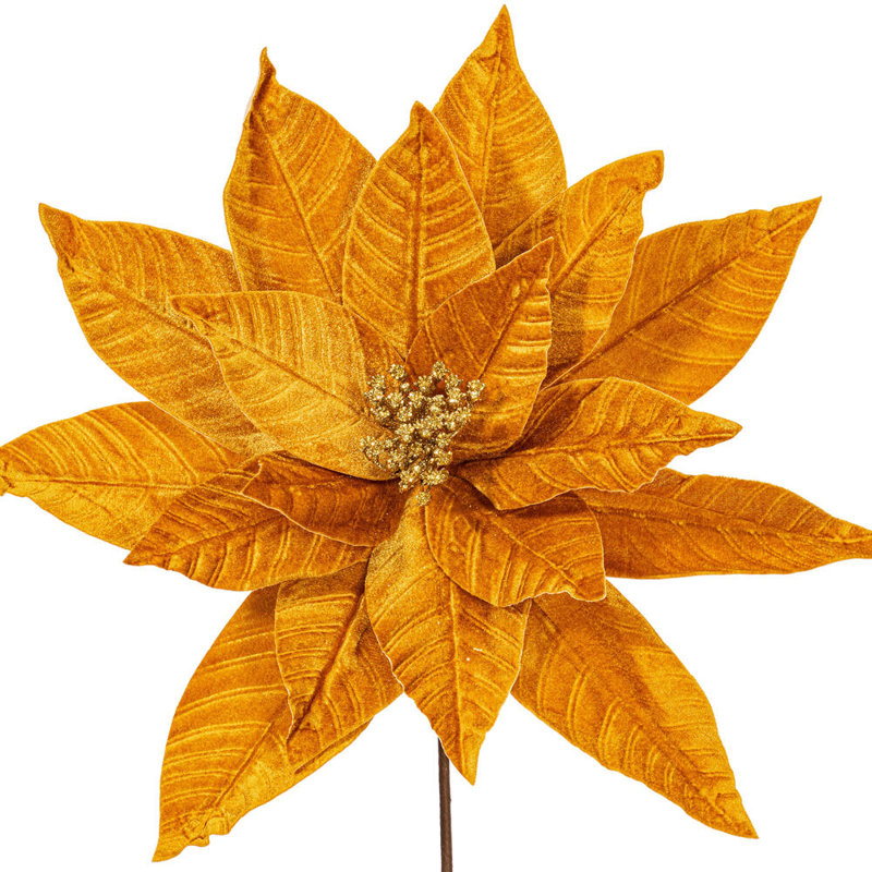 Tiges de poinsettia Clementina, Or
