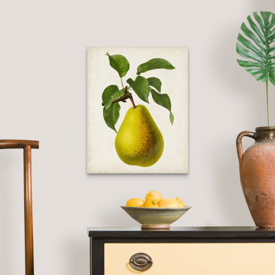 Antique Fruit VII - reproduction d'art sur toile