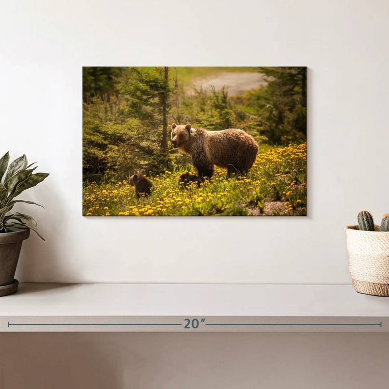 Brampt Canadian Grizzly Bears, 8" H x 12" W