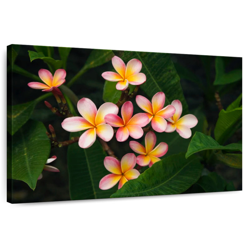 Fleur de plumeria rose clair Harnek, H 8 po x l 12 po