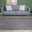 Flex Collection Solid Colour Machine Tufted Area Rug-1422107553