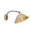 1 - Light Swing Arm