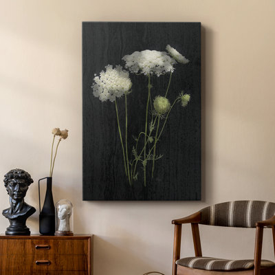 Queens Lace I - galerie sur mesure