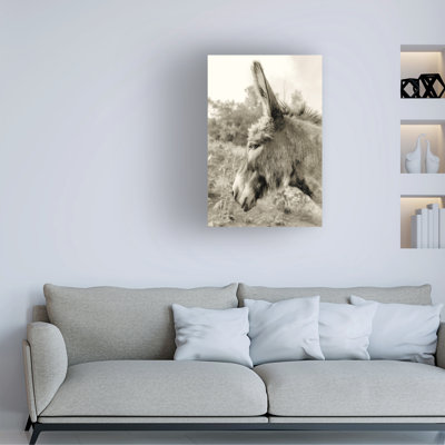 Wrapped Canvas Wall Art - Nathan Larson 'Donkey Profile Sepia' Wall Art for Living Room, Bedroom, or Office Décor  - 22x32