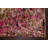 One-of-a-Kind 2'7" X 10'0" New Age Runner Area Rug in