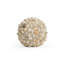 Sculpture coquille de coquillage-68620328