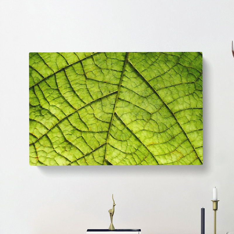 Leaf Roads - Wrapped Canvas Print, 60cm H x 91cm W x 3cm D