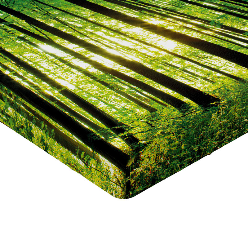 Ensemble de draps-housse Ambesonne Forest, Drap-housse de taille simple