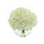 Hydrangea In Glass Vase