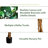 Faux Ficus Tree in Planter-62910020