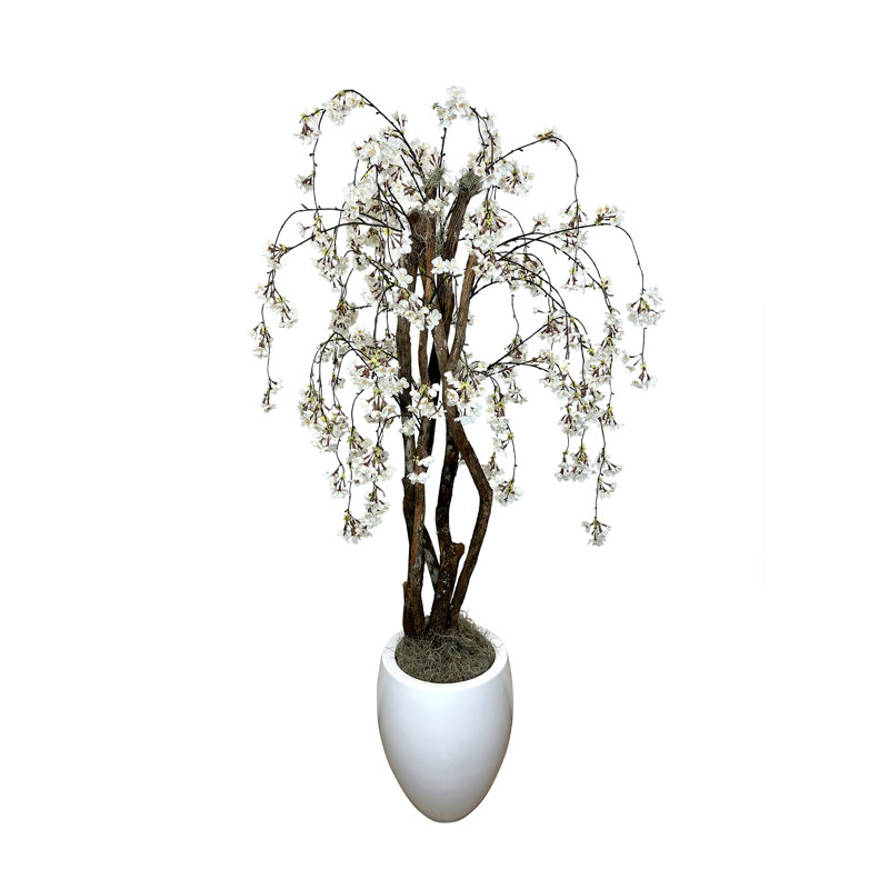5.75' Organic Modern Cherry Blossom Tree with Real Dragon Wood