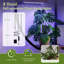 Plant Stand - Set of 9