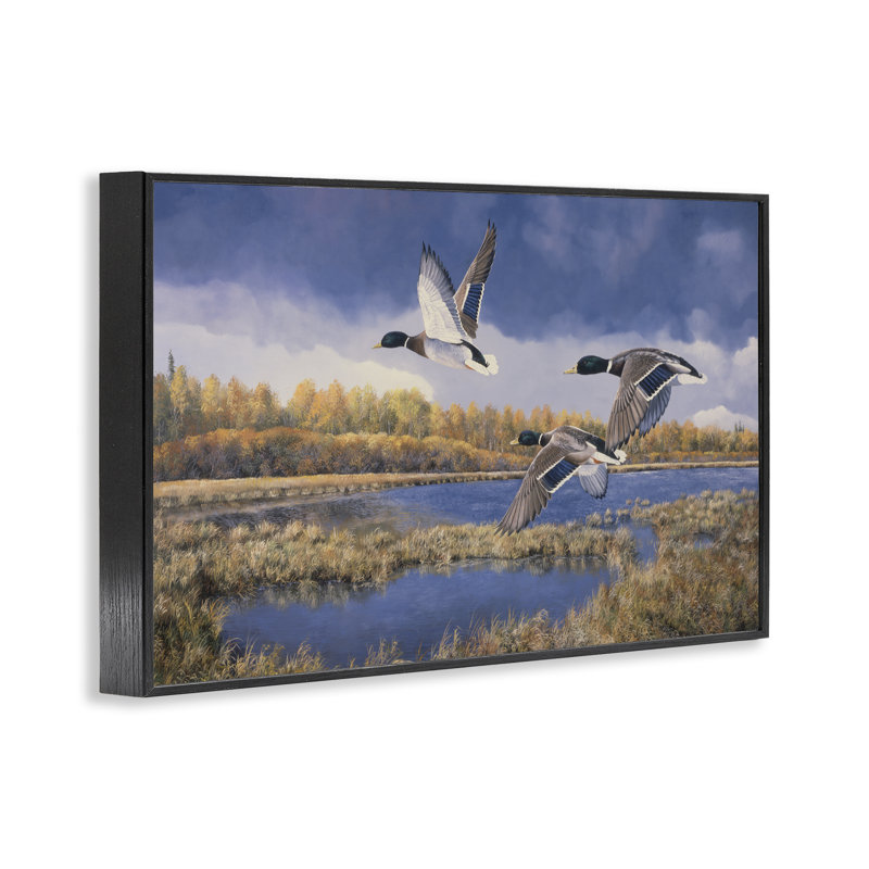 «Ducks Heading South Giclee» par Andrew Kiss, Giclée encadrée noir minuit, H 12 po x l 18 po
