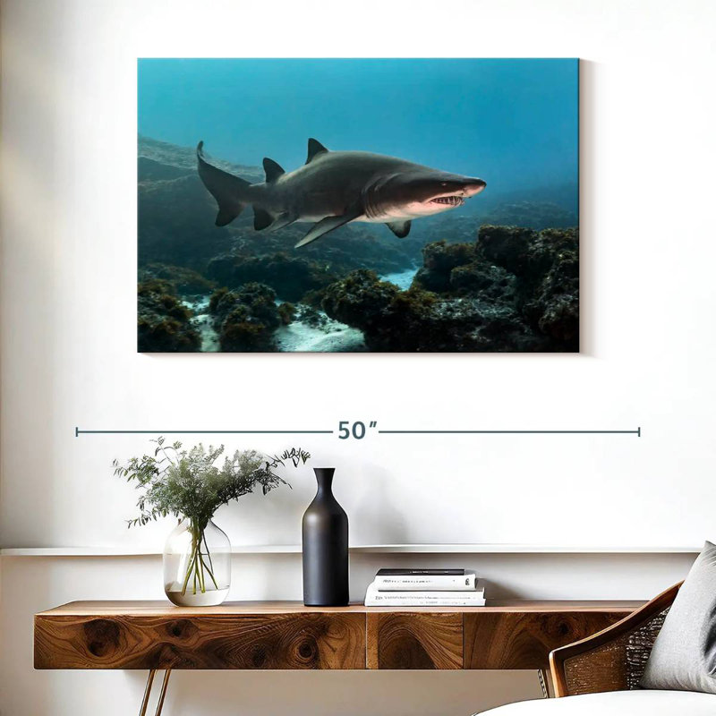 Aliwal Shoal Shark