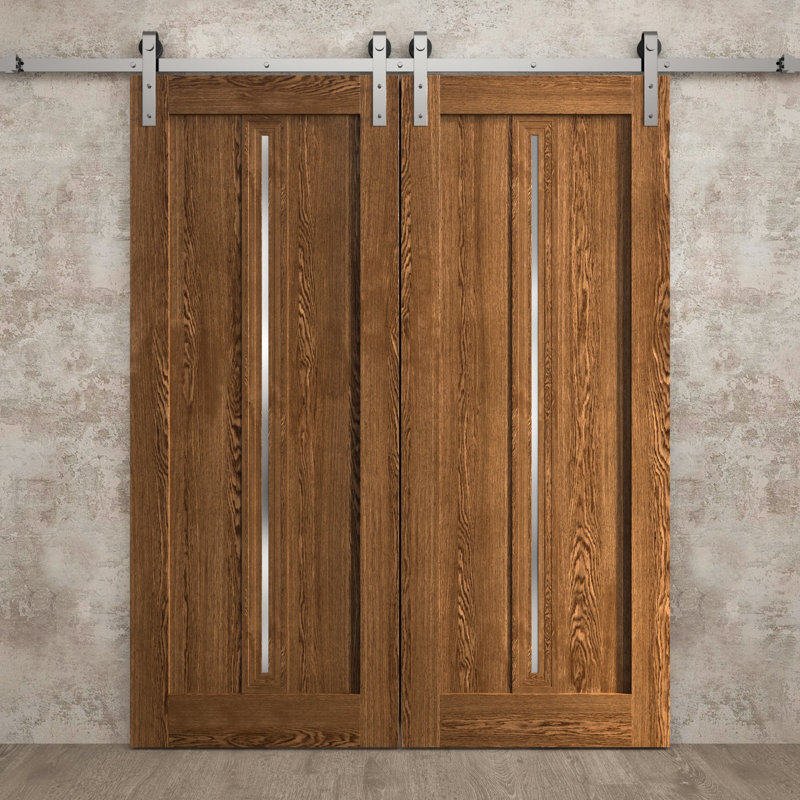 Porte de grange double moderne | Ego 5014 | Ensemble de rail argenté | Portes intérieures solides, 56 po x 96 po