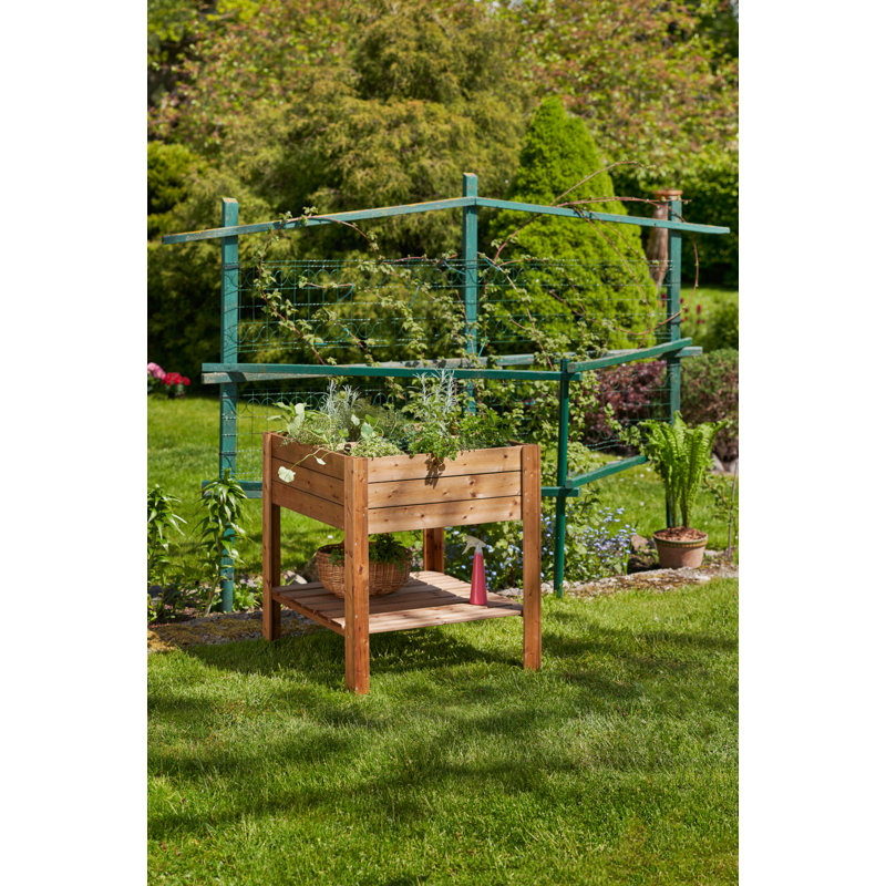 Lit de jardin surélevé en bois 3 pi x 3 pi