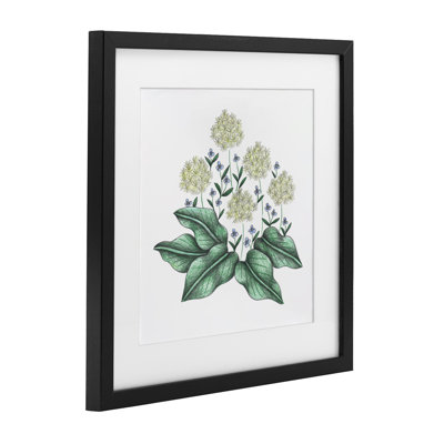 Hello Wildflower Vintage Sketch Framed Print Under Glass, design by Cecilia Battaini