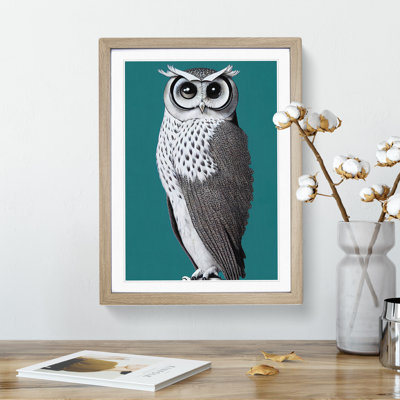 Curious Owl - Single Picture Frame Print