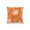 Kaveri Vine Pillow
