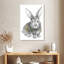 Bébé lapin Brampt-106965040