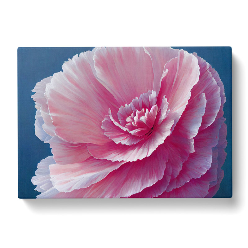 Overwhelming Carnation Flower - Wrapped Canvas, 50cm H x 76cm W x 3cm D