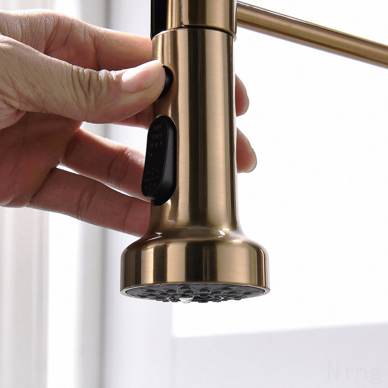 Robinet d'évier de cuisine à poignée simple avec douchette rétractable et plaque de pont