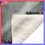 Famille de couvertures ratons laveurs-123584793